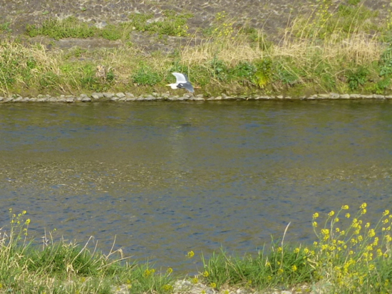 f:id:kazenokomichi:20130420013153j:plain