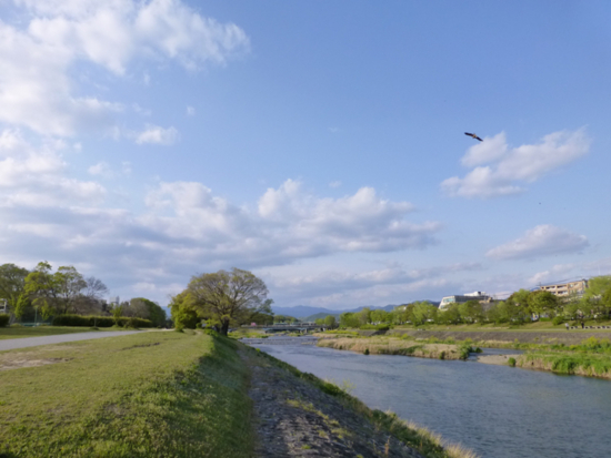 f:id:kazenokomichi:20130420013301j:plain