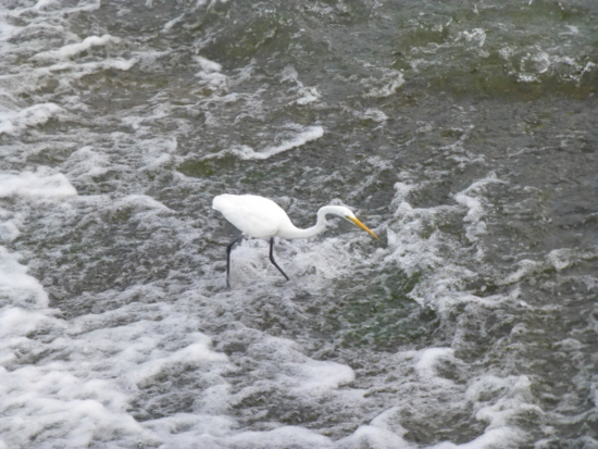 f:id:kazenokomichi:20130808011415j:plain