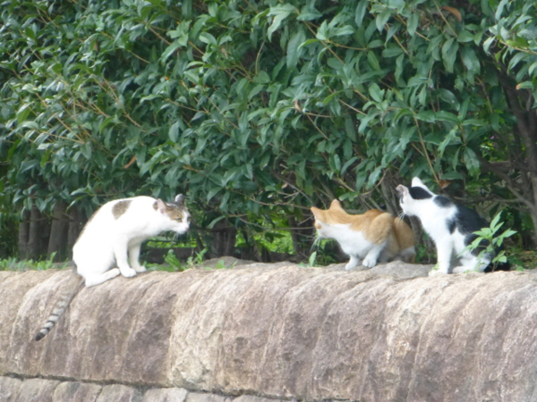 f:id:kazenokomichi:20130916015844j:plain