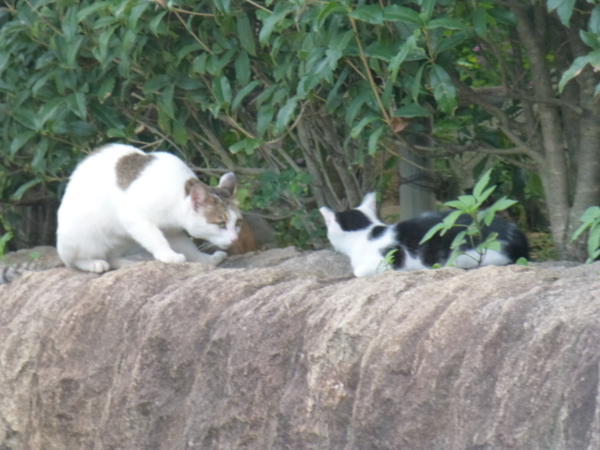 f:id:kazenokomichi:20130916015929j:plain