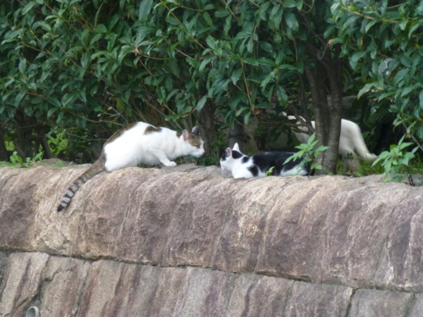 f:id:kazenokomichi:20130916020029j:plain