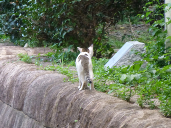 f:id:kazenokomichi:20130916070022j:plain