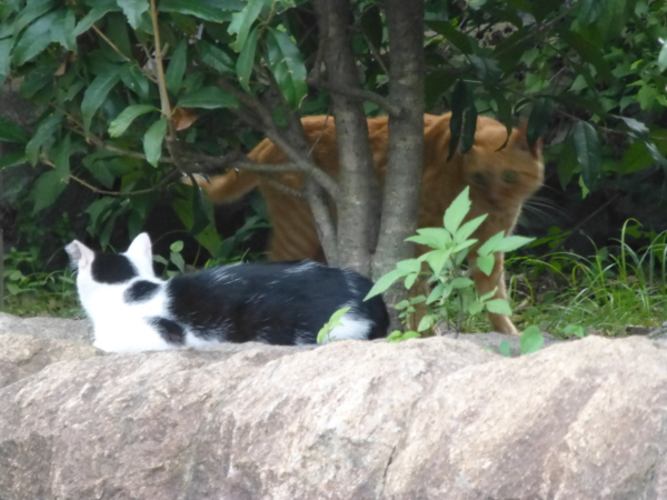 f:id:kazenokomichi:20130916071033j:plain