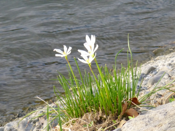 f:id:kazenokomichi:20130929011854j:plain