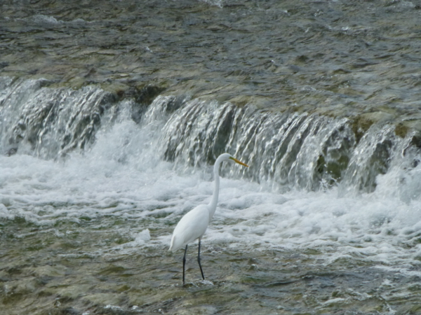 f:id:kazenokomichi:20130929011933j:plain