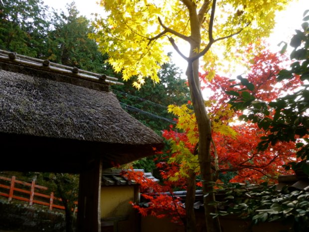 f:id:kazenokomichi:20131208010839j:plain