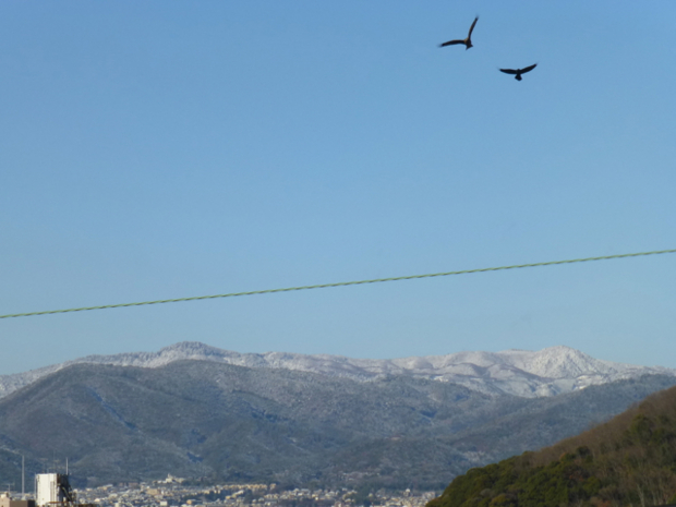 f:id:kazenokomichi:20131229214302j:plain