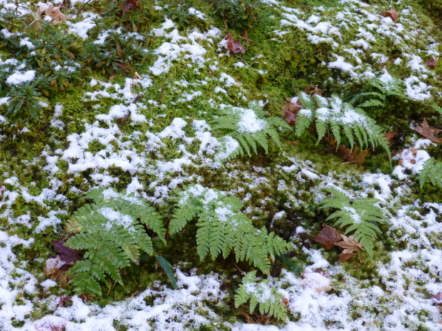 f:id:kazenokomichi:20131229214418j:plain