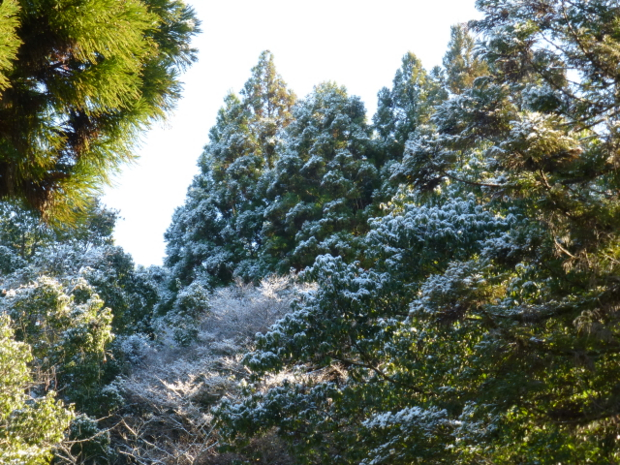 f:id:kazenokomichi:20131229214428j:plain