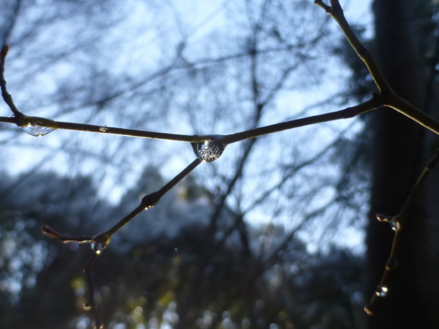 f:id:kazenokomichi:20131229214446j:plain