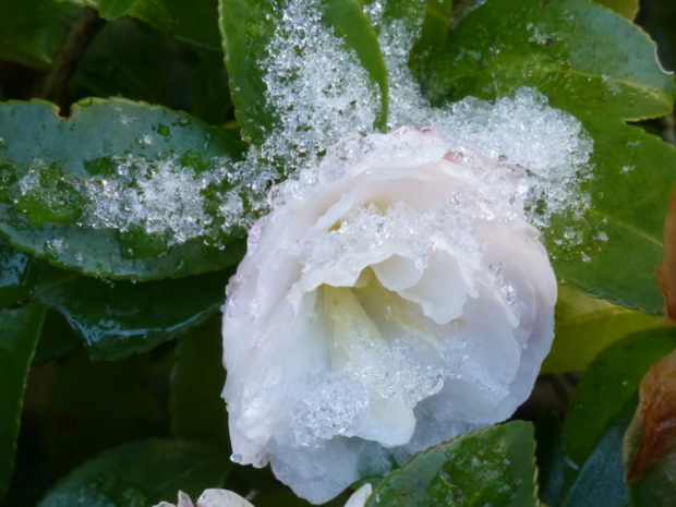 f:id:kazenokomichi:20131229214555j:plain