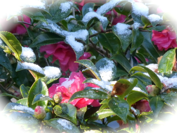 f:id:kazenokomichi:20131229214654j:plain