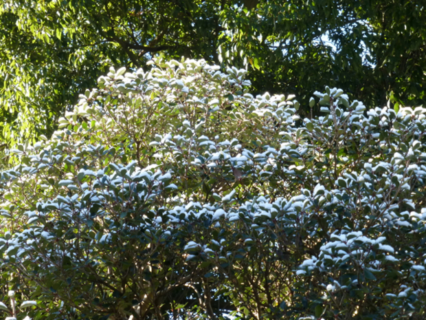 f:id:kazenokomichi:20131229220502j:plain