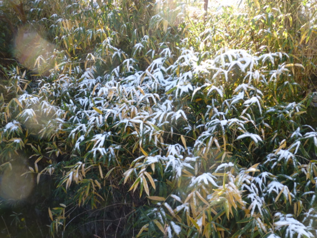 f:id:kazenokomichi:20131229220558j:plain