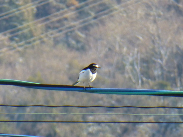 f:id:kazenokomichi:20131229223559j:plain