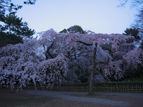 f:id:kazenokomichi:20140331222218j:plain