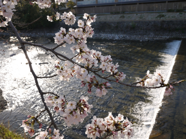 f:id:kazenokomichi:20140401230147j:plain f:id:kazenokomichi:20140401230147j:plain