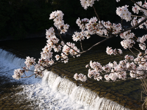 f:id:kazenokomichi:20140401230208j:plain f:id:kazenokomichi:20140401230208j:plain