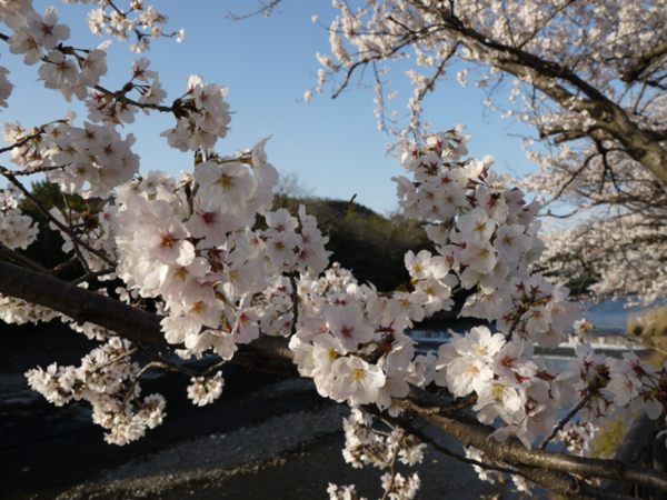 f:id:kazenokomichi:20140401230343j:plain f:id:kazenokomichi:20140401230343j:plain