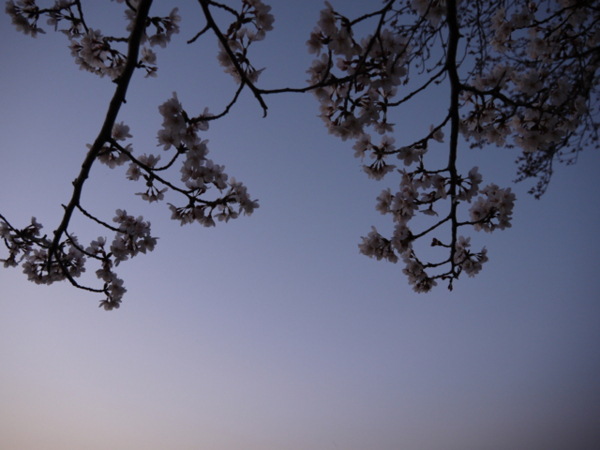 f:id:kazenokomichi:20140402004809j:plain f:id:kazenokomichi:20140402004809j:plain