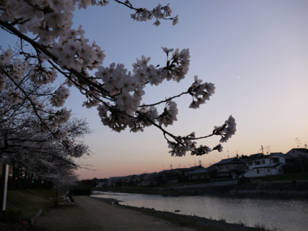 f:id:kazenokomichi:20140402004840j:plain f:id:kazenokomichi:20140402004840j:plain