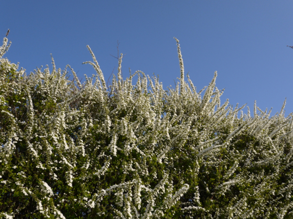 f:id:kazenokomichi:20140402010545j:plain f:id:kazenokomichi:20140402010545j:plain