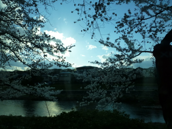 f:id:kazenokomichi:20140407184745j:plain