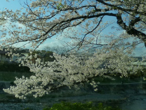 f:id:kazenokomichi:20140407184951j:plain