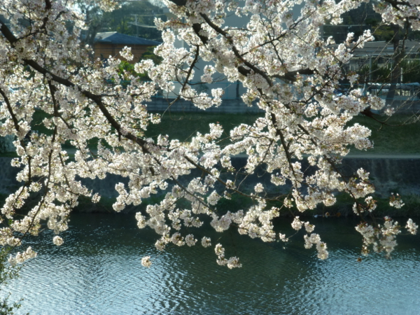 f:id:kazenokomichi:20140407185002j:plain