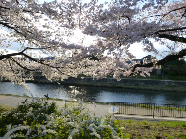 f:id:kazenokomichi:20140407185138j:plain