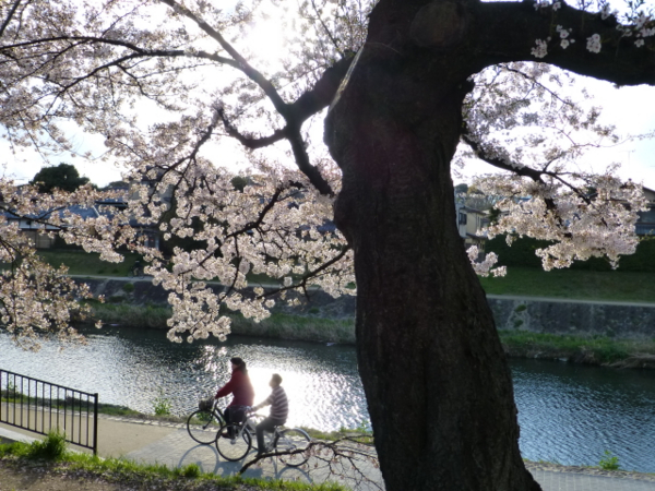 f:id:kazenokomichi:20140407185221j:plain