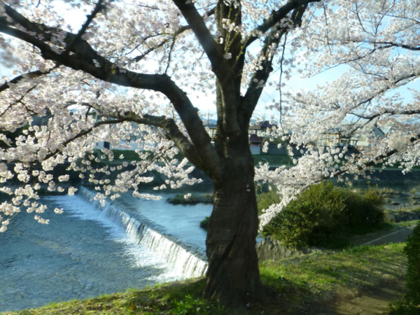 f:id:kazenokomichi:20140407185309j:plain