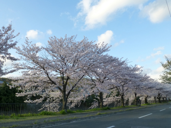 f:id:kazenokomichi:20140407185346j:plain