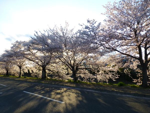 f:id:kazenokomichi:20140407185502j:plain