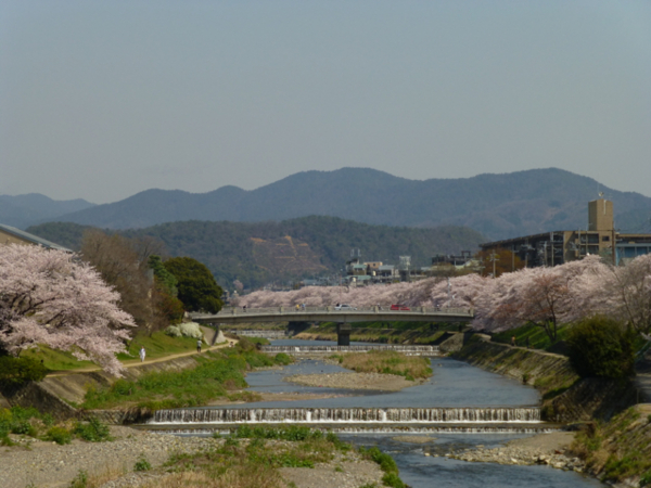 f:id:kazenokomichi:20140407190244j:plain