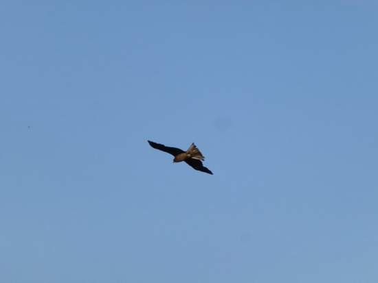 f:id:kazenokomichi:20140524140108j:plain