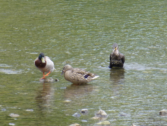 f:id:kazenokomichi:20140524140119j:plain