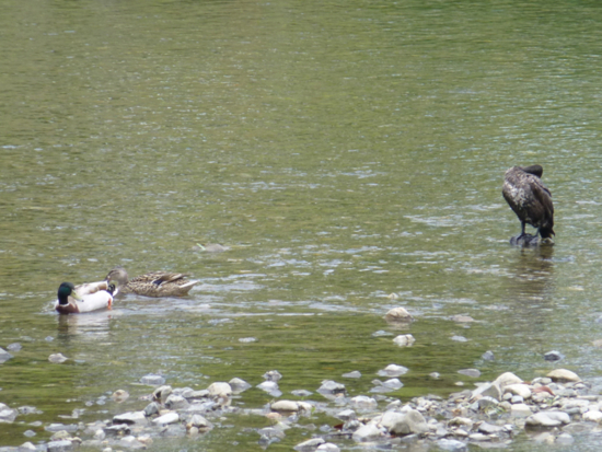 f:id:kazenokomichi:20140524140129j:plain