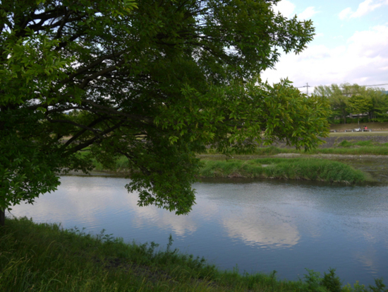 f:id:kazenokomichi:20140524140138j:plain