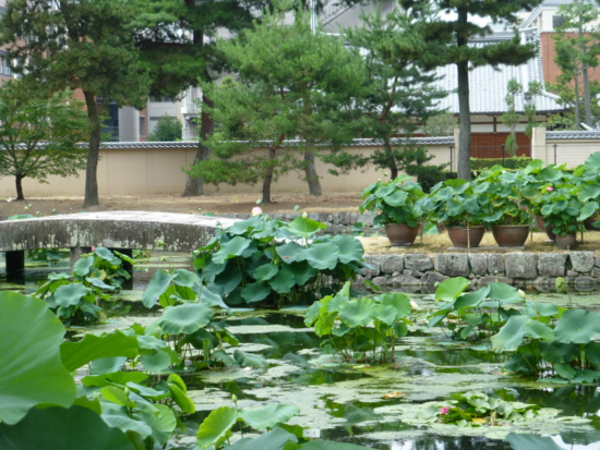 f:id:kazenokomichi:20140814003638j:plain