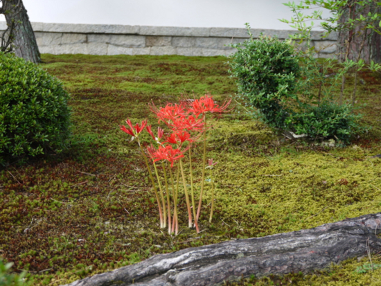 f:id:kazenokomichi:20140926114645j:plain f:id:kazenokomichi:20140926114645j:plain