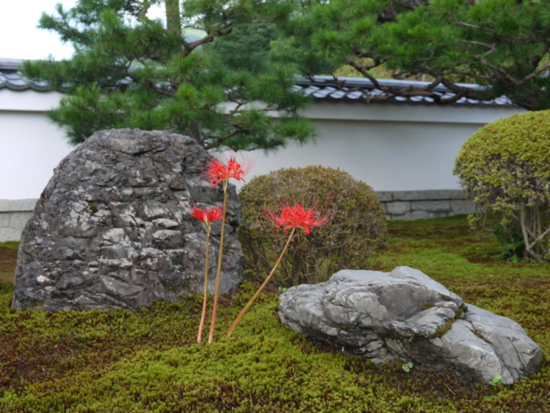 f:id:kazenokomichi:20140926114716j:plain f:id:kazenokomichi:20140926114716j:plain