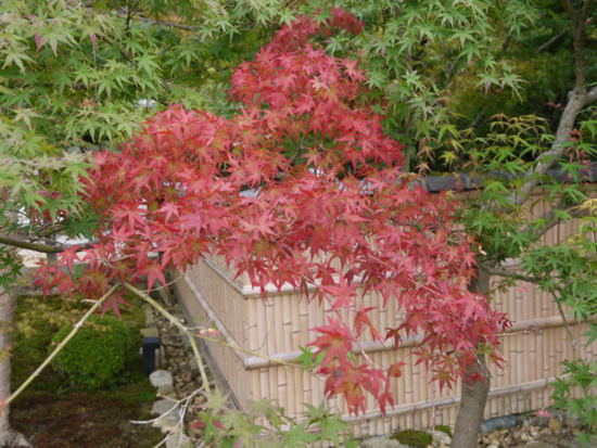 f:id:kazenokomichi:20140926114905j:plain f:id:kazenokomichi:20140926114905j:plain