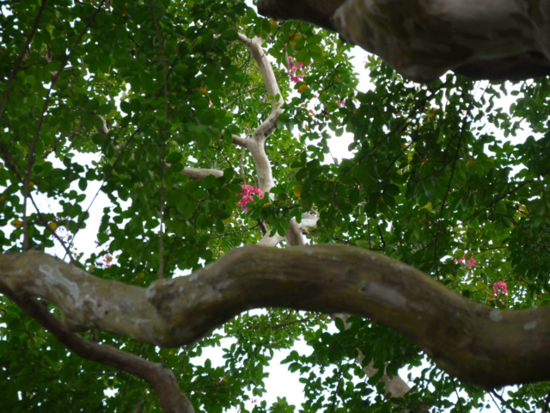 f:id:kazenokomichi:20140926115617j:plain f:id:kazenokomichi:20140926115617j:plain