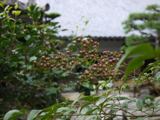 f:id:kazenokomichi:20140926115704j:plain f:id:kazenokomichi:20140926115704j:plain