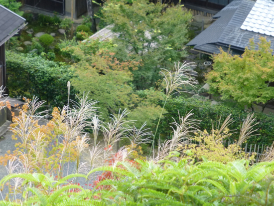 f:id:kazenokomichi:20140926115722j:plain f:id:kazenokomichi:20140926115722j:plain