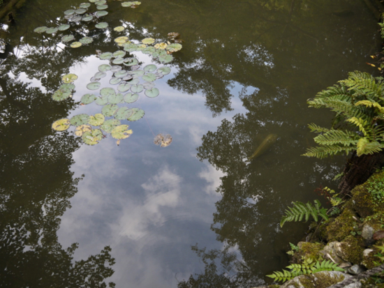 f:id:kazenokomichi:20140926120006j:plain f:id:kazenokomichi:20140926120006j:plain