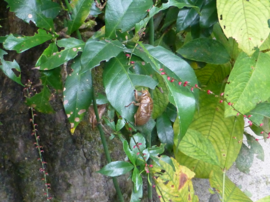 f:id:kazenokomichi:20140930210423j:plain