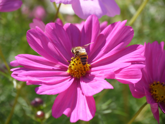 f:id:kazenokomichi:20141027215249j:plain